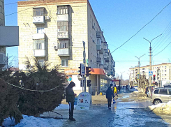 В Камышине у 25-ти заболевших подтвердился ковид 22 марта