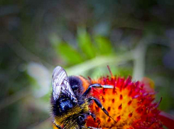 Погода: до конца недели в Камышине будет свежо