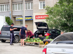 В Камышине начали продавать арбузы на внутриквартальных рынках