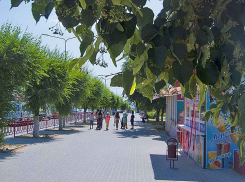 Полиция Камышина сообщает, что никаких противоправных действий в отношении пропавшей и нашедшейся 11-летней девочки совершено не было