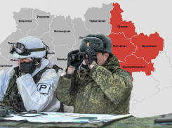 Камышане - участники СВО могут заполнить анкету, чтобы переобучиться на чиновников и хозяйственников