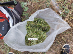 В Камышине полицейские изъяли у местного жителя более полукилограмма марихуаны