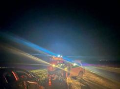 Четыре трупа: кошмарный итог лобового столкновения на трассе южного направления в Волгоградской области