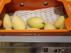   В Камышин «приехало» желтое манго прямиком из Таиланда