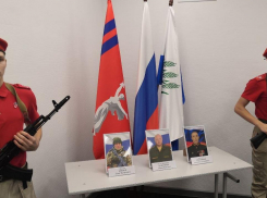 В Камышине родным передали ордена погибших бойцов СВО - лейтенанта, старшего прапорщика, рядового