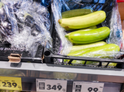 Камышан агитируют покупать кабачки по 350 рублей килограмм