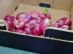 Новое подорожание для камышан и всех жителей Волгоградской области: яйца, лук, рис