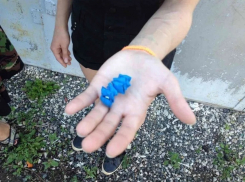 «Предприимчивый» учащийся камышинского колледжа нашел марихуану и решил ее реализовать