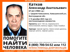«ЛизаАлерт» зовет добровольцев искать бесследно пропавшего пенсионера в Камышинском районе