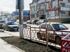 В Камышине «Благоустройство» выпустило на центральные улицы машины-поливалки