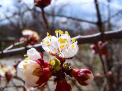 Штормовая пятница в Камышине: и ветер, и солнце, и дождь