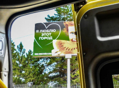 Почему люди, работая для людей, ведут себя так; что происходит с водителями маршрутных такси? - камышанка