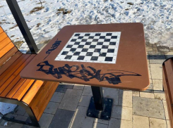 В Камышине в обновленном парке Текстильщиков уличные шахматные столы измалевали неизвестные «отдыхающие»