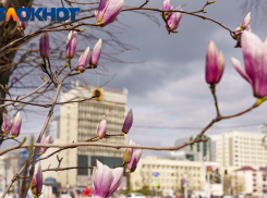 А в южном Краснодаре, оказывается, отопительный сезон закончат только 17 апреля