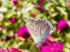 Сентябрьская жара в Камышине: солнце разогреет воздух в наступившие выходные так, что можно идти загорать на пляж
