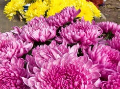 Администрация Камышина зовет горожан на концерт в честь Дня единства в ДК «Текстильщик» - бесплатно, со свободным входом