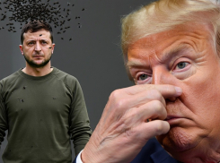 «Просрочка стухла и воняет»: Трамп обрушился на Зеленского, отказывающегося сдавать Донбасс, - «Блокнот - Россия»