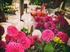 В Камышине вдвое подорожали букеты перед началом нового учебного года