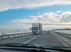 На московской трассе легковушка врезалась в бегущую лошадь