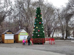 Первая наряженная новогодняя елка появилась в городском парке имени Комсомольцев-добровольцев в Камышине (ВИДЕО)