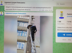 Телеграм-канал администрации Камышина показал, как в городе проводят месячник по благоустройству «с риском для жизни»