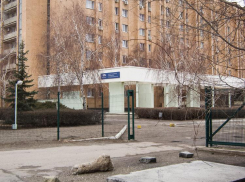 Сколько еще плиты и камни будут валяться у входа в «гостиницу номер один» Камышина?