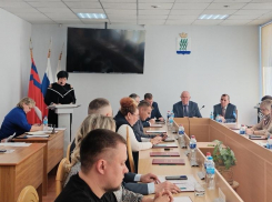 Камышинская городская дума опубликовала информацию, полную тайн, о доходах и расходах депутатов и аппаратчиков
