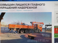 В Камышине с набережной «эвакуировали» поваленное и разбитое ураганом светящееся дерево