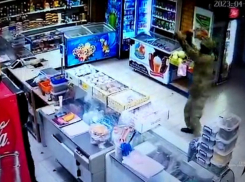 В соседнем с Камышинским - Дубовском районе оперативники задержали очумелого погромщика, ломом крушившего в магазине холодильники