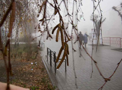 Сегодня - ливни, завтра - ливни: погодный  «апокалипсис» в Камышине