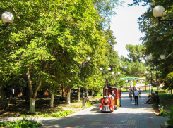 В Камышине День города решено отметить отдельно от Арбузного фестиваля - в парке