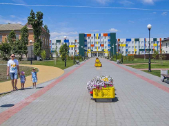 На оперативном совещании у губернатора не исключили варианта начала нового учебного года в дистанционном варианте