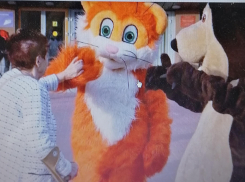 Какую важную идею «выдвинулись» популяризировать в Камышине смешные куклы