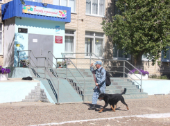 В Камышине по легенде учений в школах и детсадах «обезвреживали» террористов  и бомбу