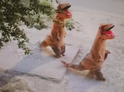 Камышане-весельчаки решили, что немного маскарада в 5-м микрорайоне никому не помешает (ВИДЕО)