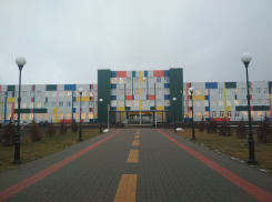 В руководящих инстанциях образования стараются дистанцироваться от истории с «детьми вампиров» в школе №1 Камышина