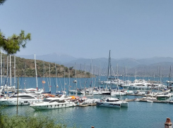 Лишь 27% жителей Волгоградской области никогда не работали во время отпуска, остальным приходится заниматься рабочими задачами на отдыхе