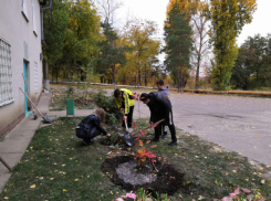 В селе Антиповка Камышинского района  юнармейцы в память о ветеране Великой Отечественной войны посадили розы