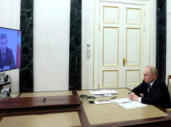 О чем Владимир Путин и Андрей Бочаров говорили по видеосвязи