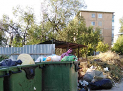 Жителей улицы Гороховской в Камышине решили сжить со свету вонью с мусорной площадки?