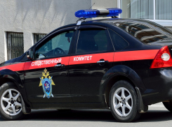 Информация для камышан об отборе кандидатов в образовательные организации высшего образования Следственного комитета Российской Федерации