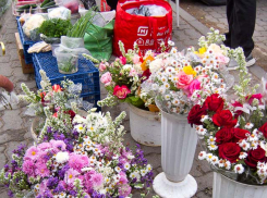 В Камышине букеты бабушек-садоводов побеждают по изяществу композиции профессиональных флористов