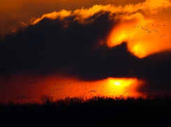 Полицейские обнаружили в одной комнате тело отца, в другой - сына