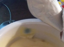 Камышанин выложил в соцсетях йогурт с «сюрпризом»