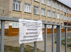 Роспотребнадзор по Волгоградской области: «Есть необходимость продлить режим самоизоляции»