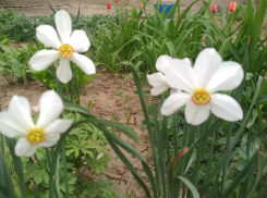 Комфортная освежающая погода ожидает камышан в последний день апреля