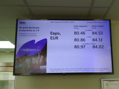 После обвала цен в Сбербанке Камышина доллар продают по 74,4 рубля, а евро - по 84,5