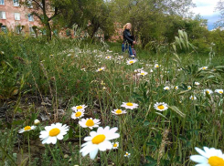 Среди камышан за минувшие сутки никто не заразился COVID-19