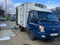 В Камышинском районе полицейские остановили фургон со 136 кг нелегальной икры с Дальнего Востока (ВИДЕО)