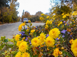 В Камышине солнечно сегодня, 24 октября, а на завтра прогнозируется вечерний дождь